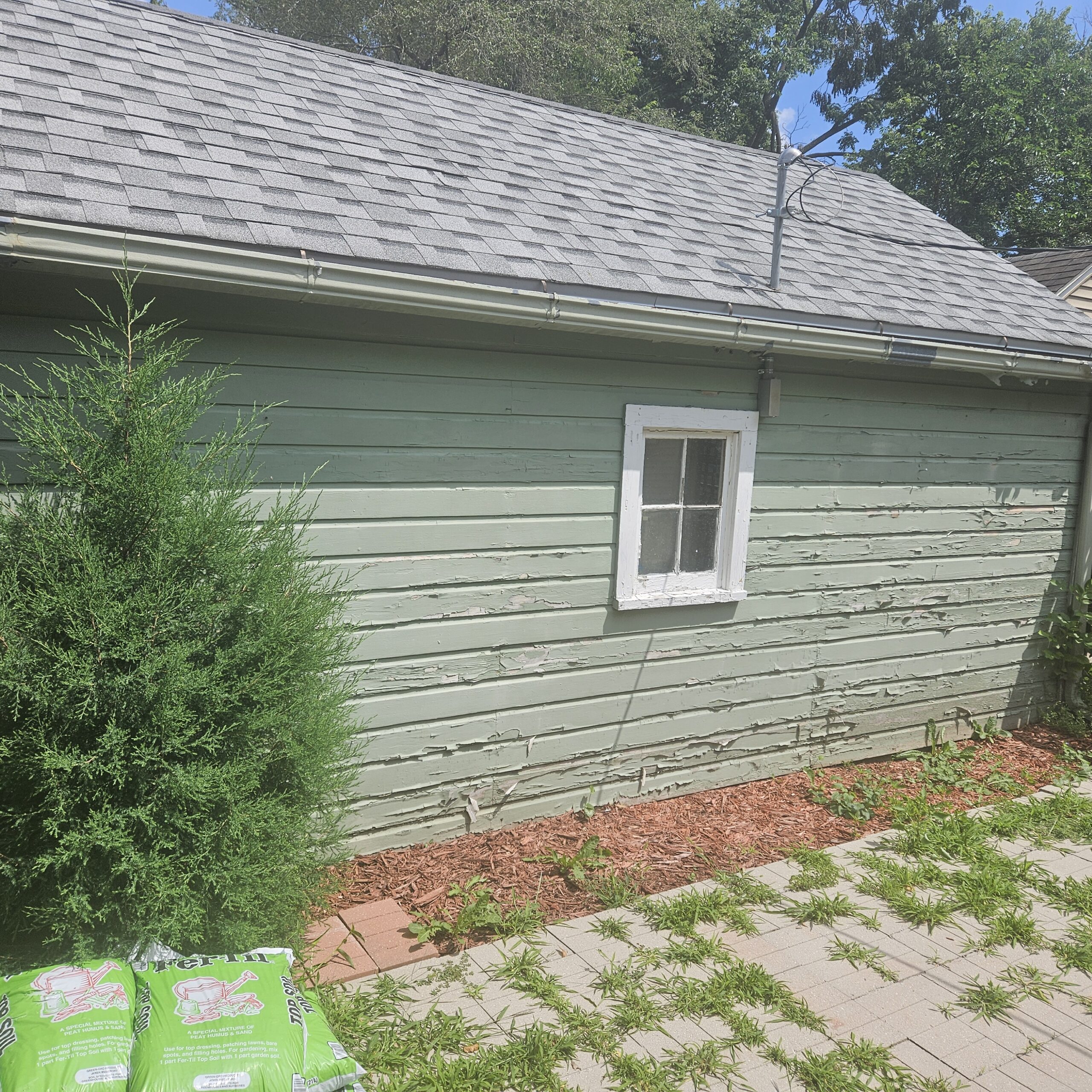 Green paint containing lead cracking and chipping off the exterior siding and rain gutters from this detached garage