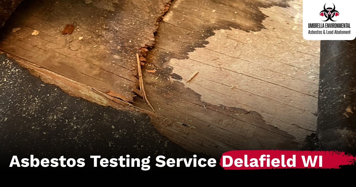 Curated visual reference: Visual Reference: Asbestos Testing Service Delafield Wi