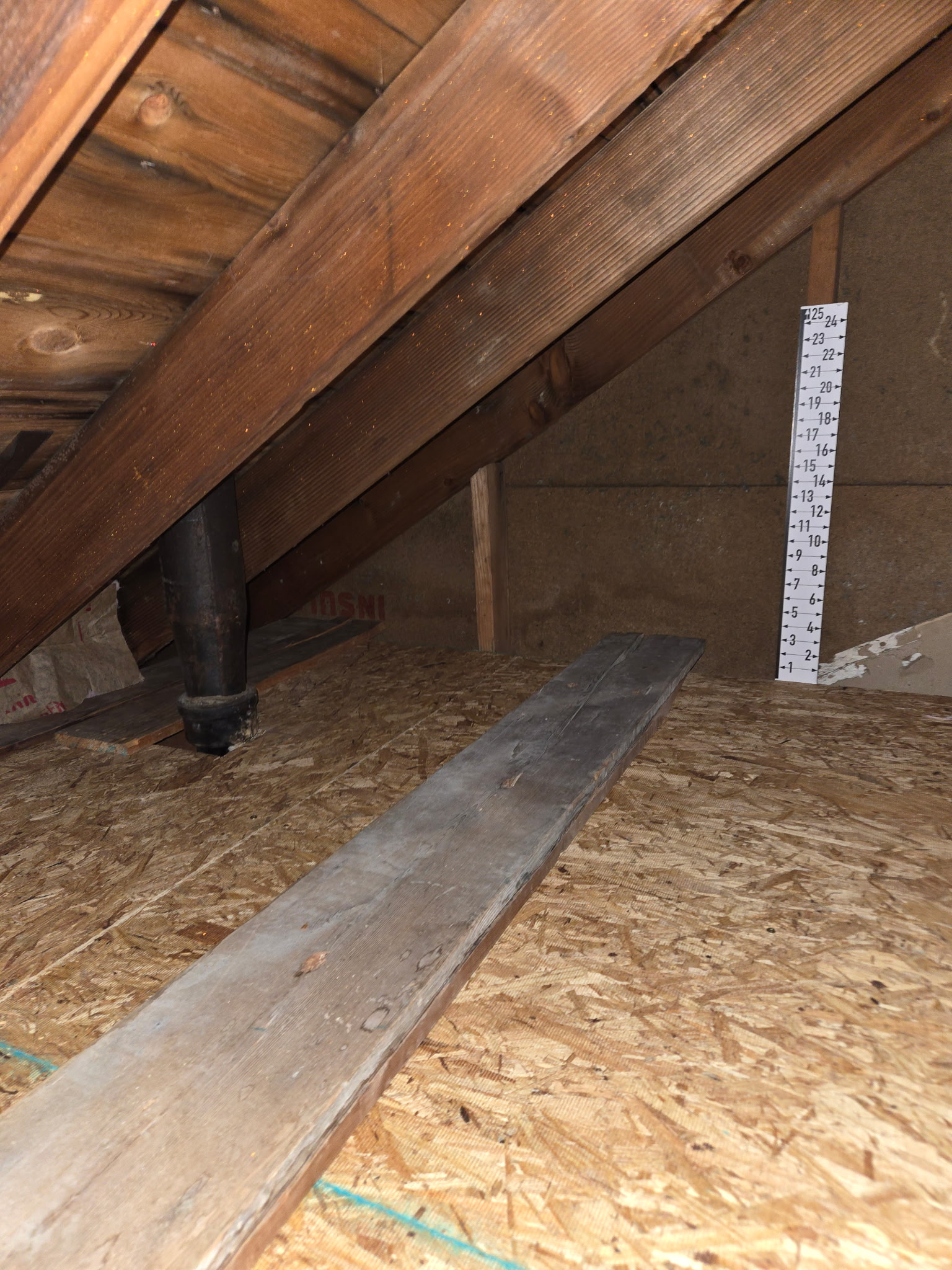 4519113388323270966 (1)